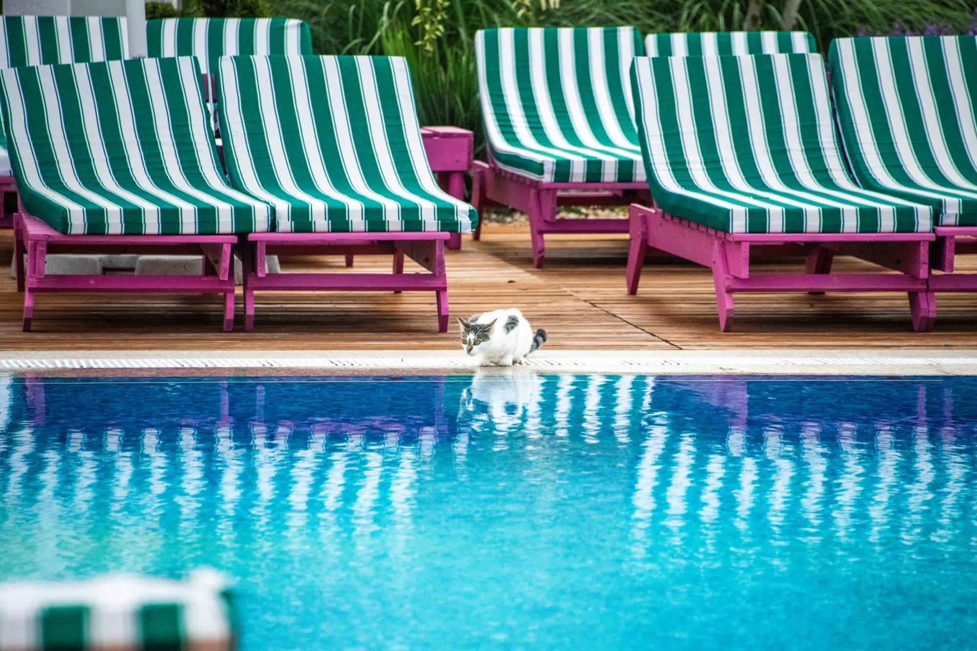 Ibis Styles Venus Ξενοδοχείο Εξωτερικό φωτογραφία